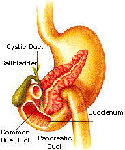 Gall Graphic